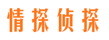 滨湖市调查公司